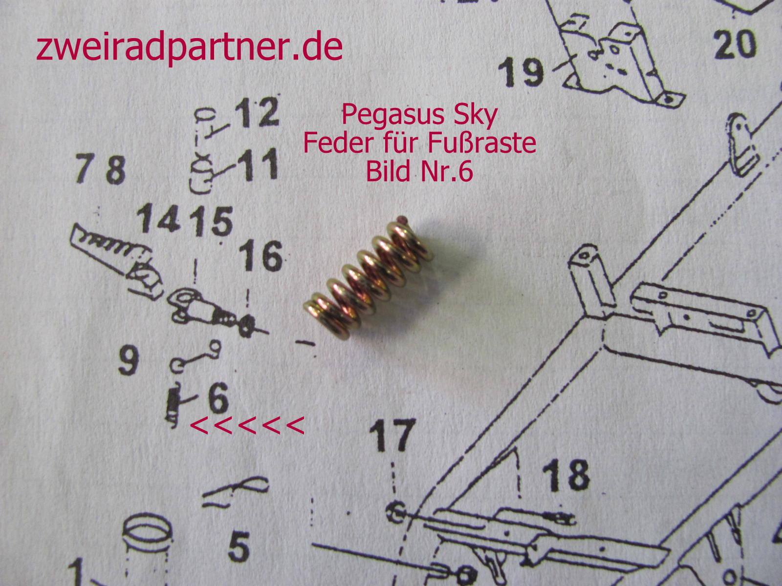 Cover Pegasus SKY 50 Rahmen Nummer Verkleidung NEU BH125PL04 Fin No M24.2